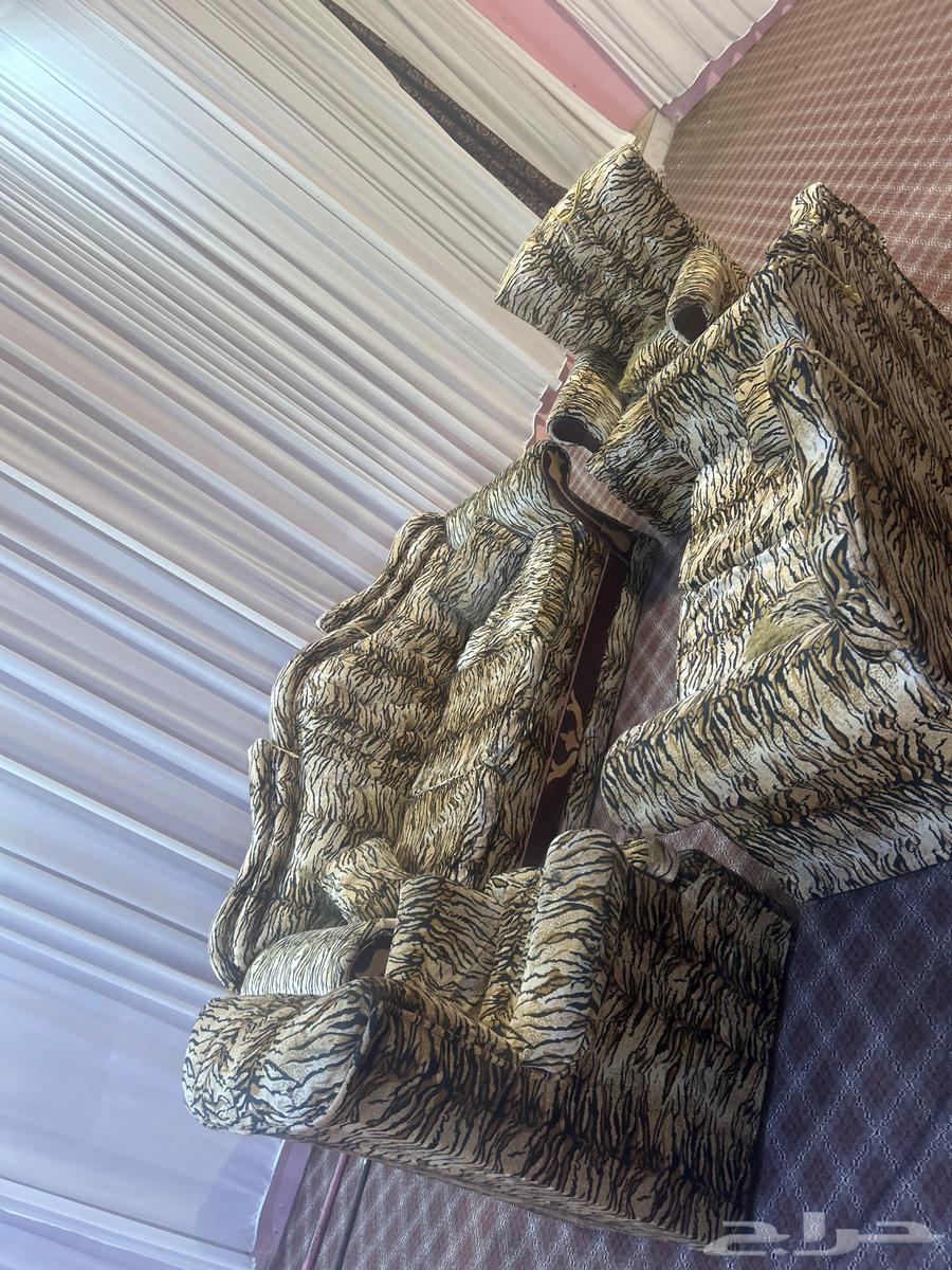 Sofas64462471900162113