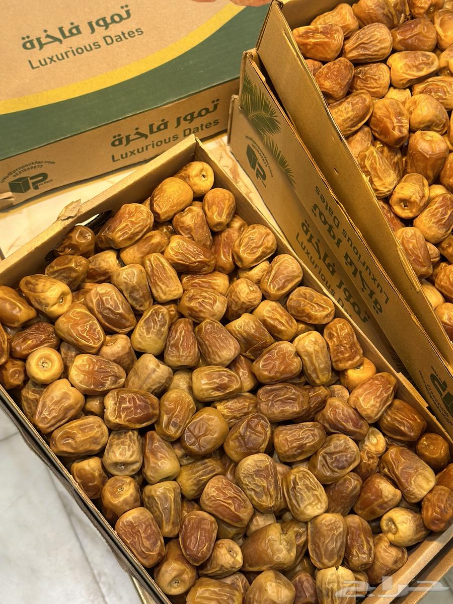 Al-Qassim Royal Sukkari Dates, Directly Harvested from the Farm64468754136833114