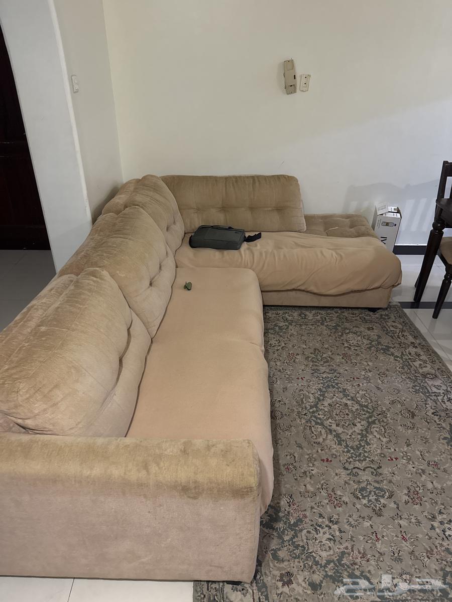 Clean L-shaped Sofa64466137048323111