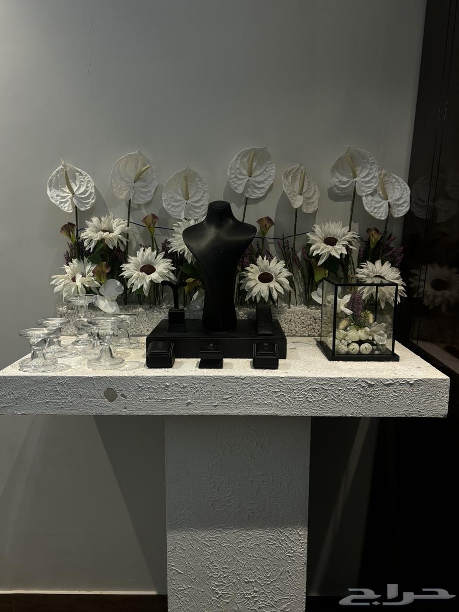 Queen's Network Stand64484362051329111