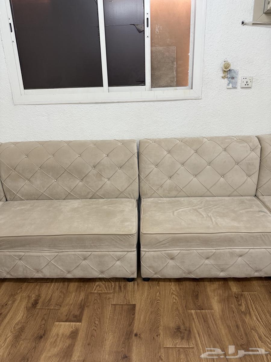 Clean and attractive sofa64465828998145112