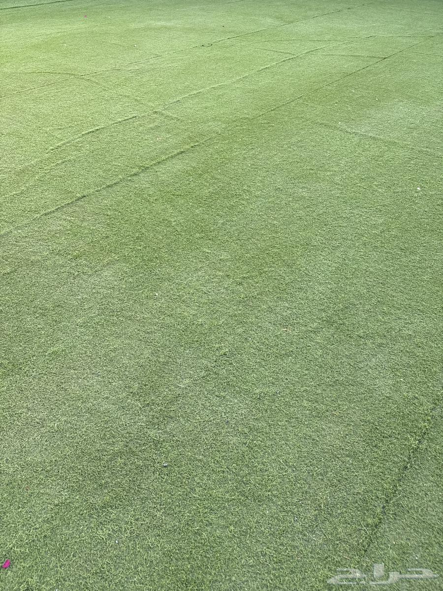 ثيل للبيع 17 1564465758956035110