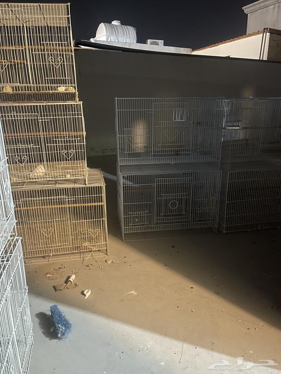 Cages for sale in excellent condition64469865045379110