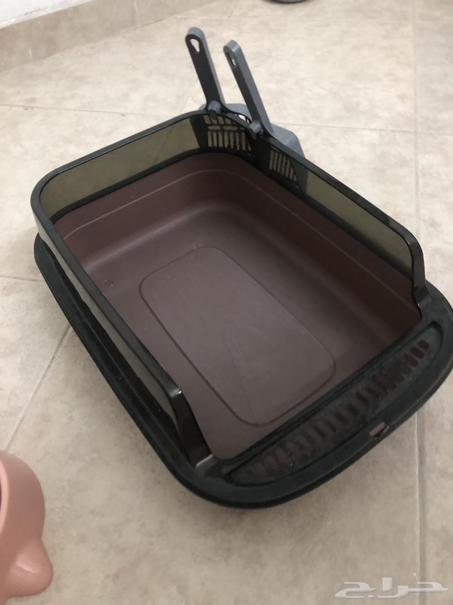 مستلزمات قطط للبيع64465493809153111