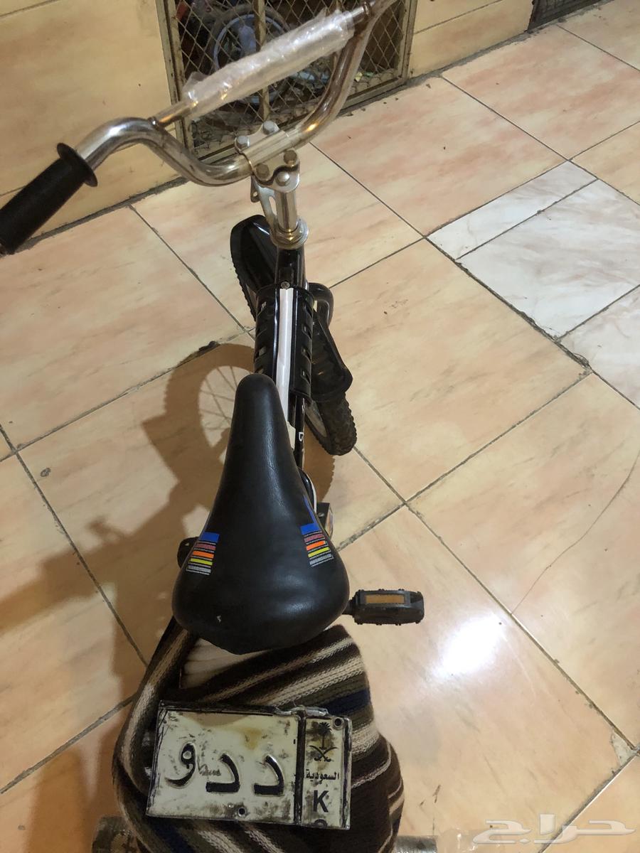 سيكل نضيف64469376350979113