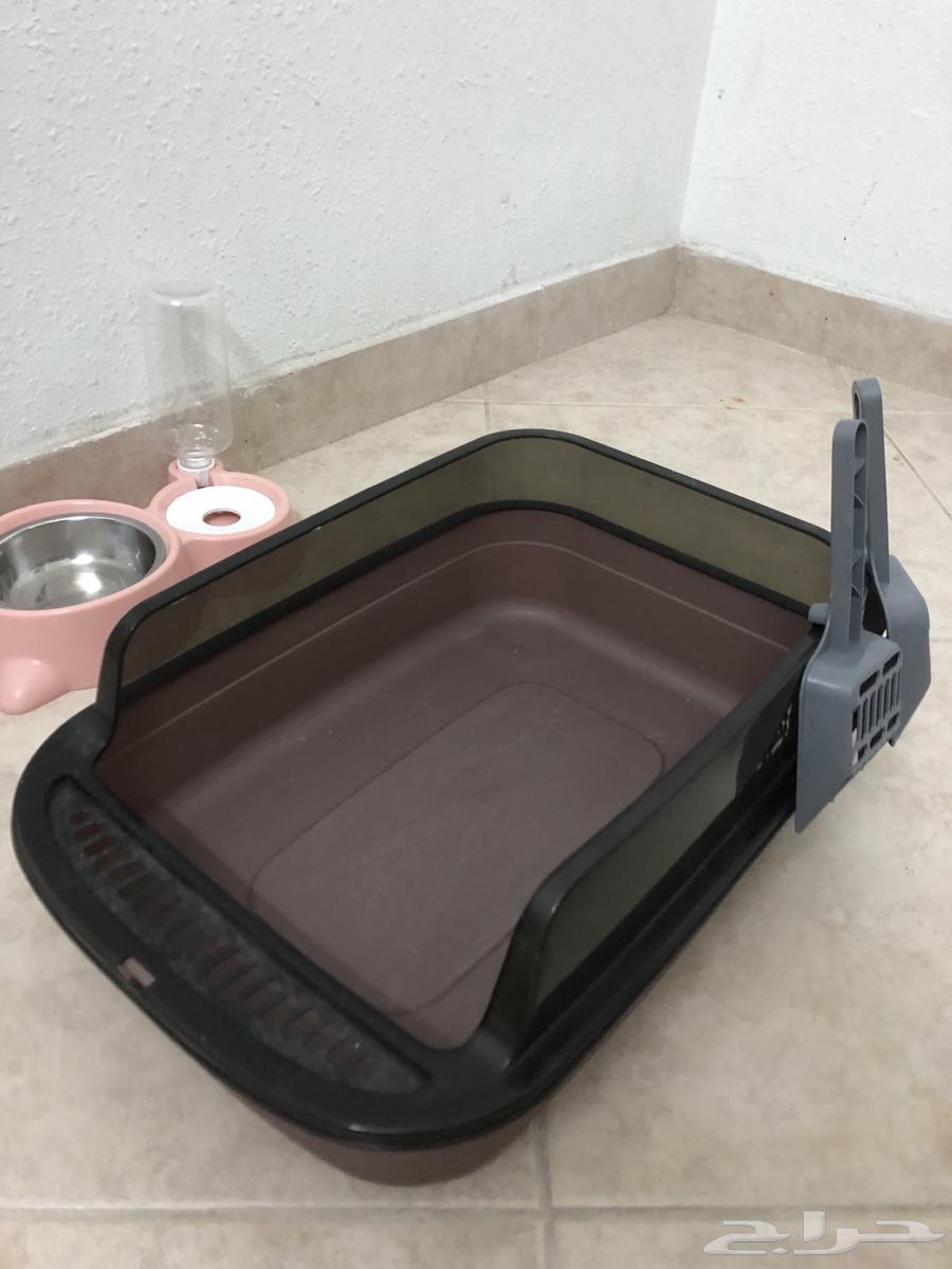 مستلزمات قطط للبيع64465493809153110