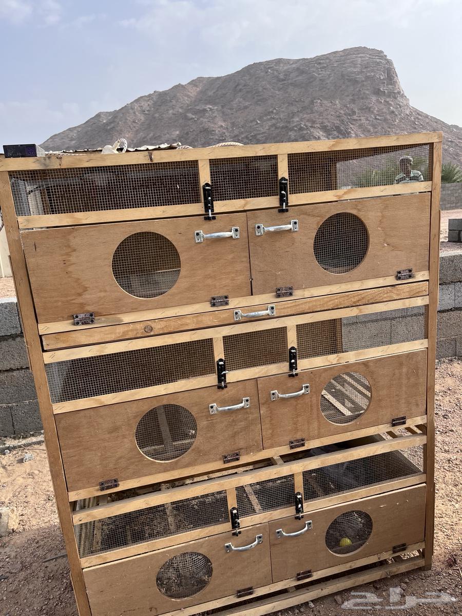 New chicken brooder available on condition64468134809857111