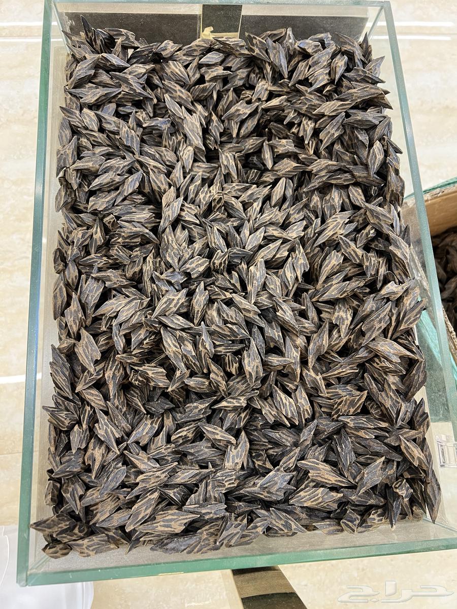 Tayger Oud 900 SAR (Discount Available for Bulk Orders)64466572508803110