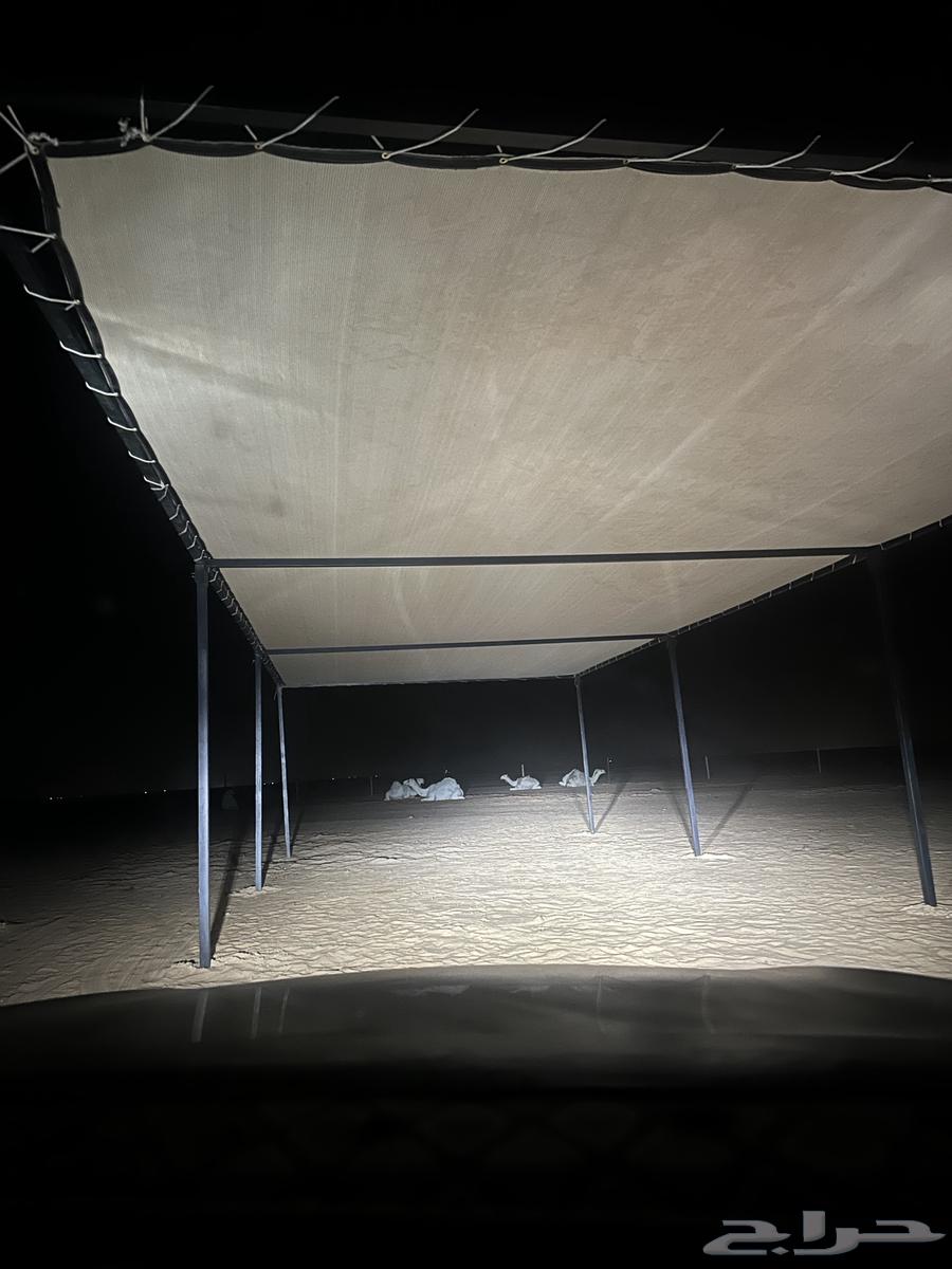 بيع المخيمات بيوت شعر جديد او مستعمل64468120638083111