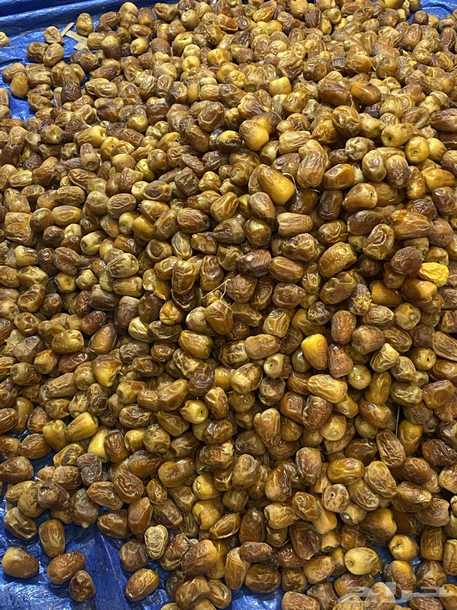 Sugary Dates64467844252162114