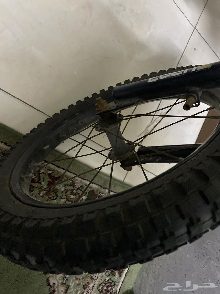 Rare Black Cycle Spire Size 16, Verified Color64469599346945114