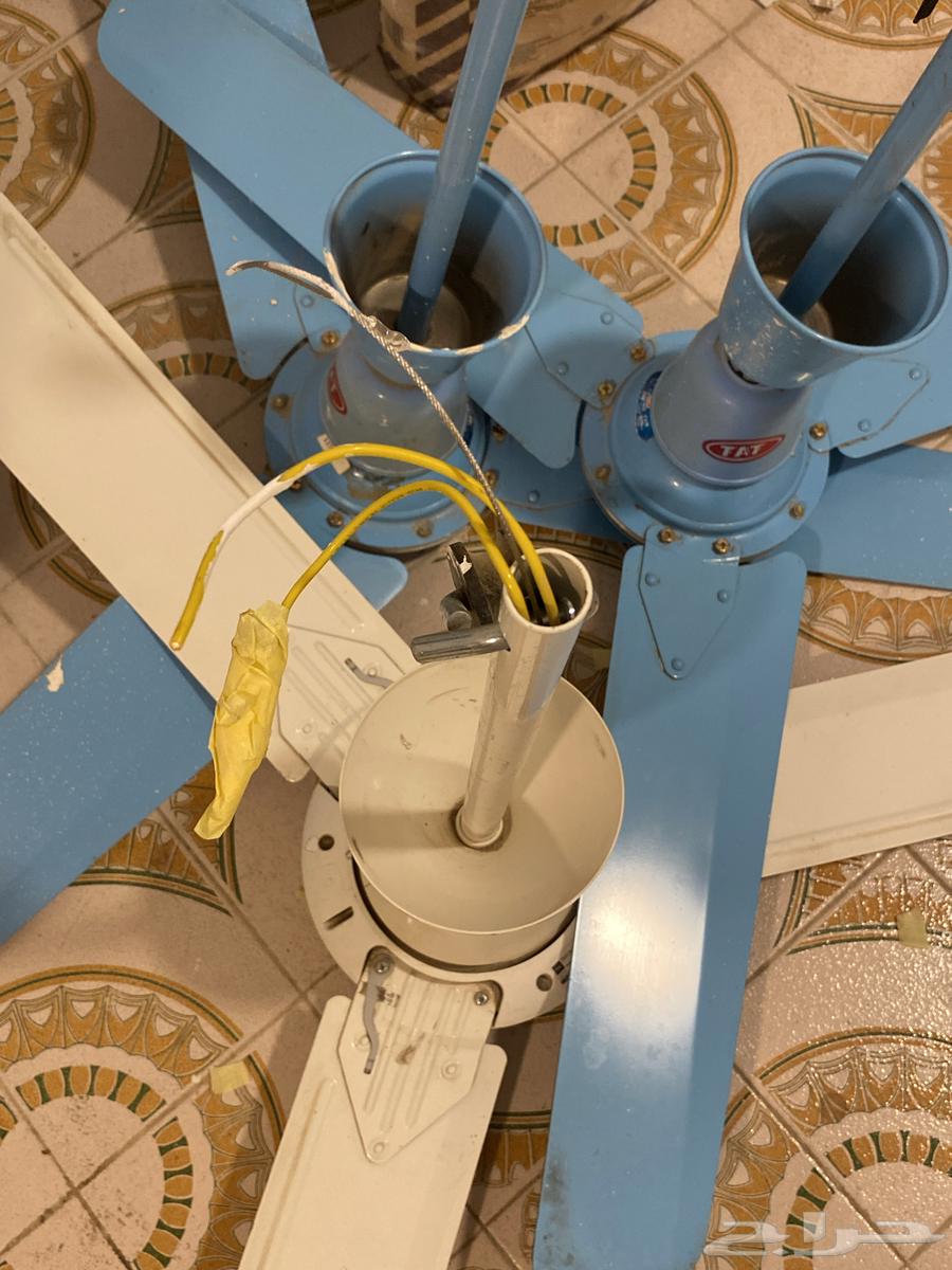 Ceiling Fans 11064471348474627112