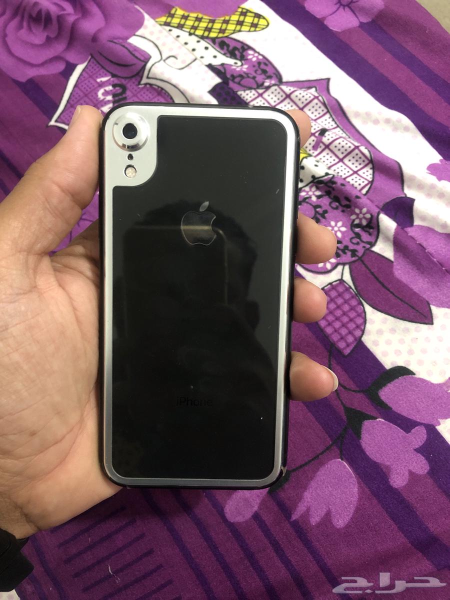 الخبر الحزام الاخضر عند  ماكدونالدز64469627344002110