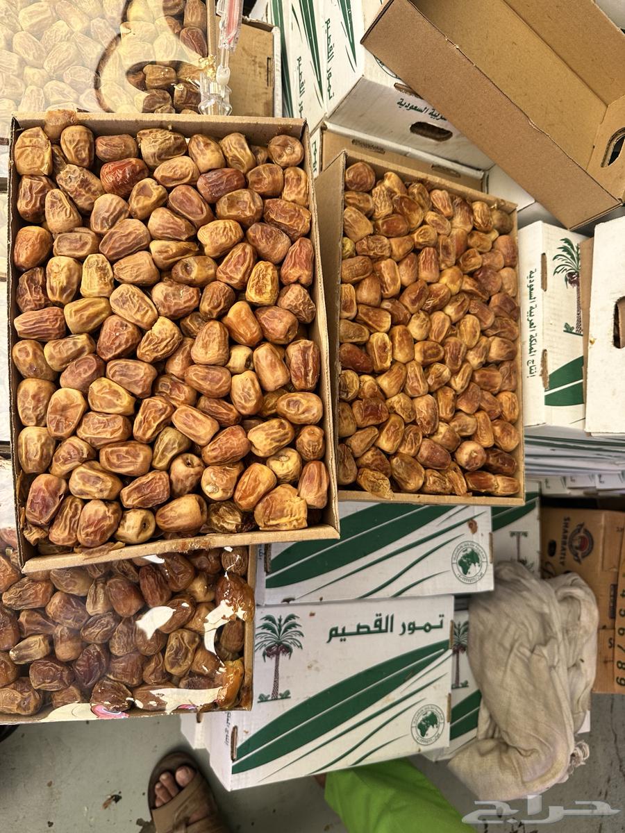 Sukkari Dates (Maftee) Production 144764468468280065111