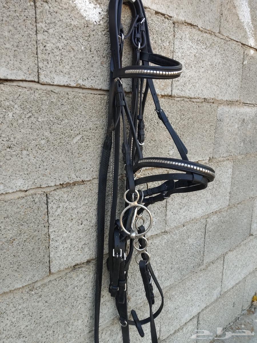 عدة ركوب خيل للبيع sold out64466905373955112