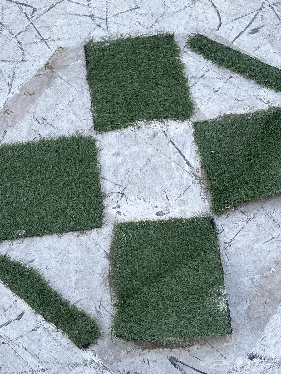 Shapes from England, I have a blessing from them and all the shapes64469348717187111