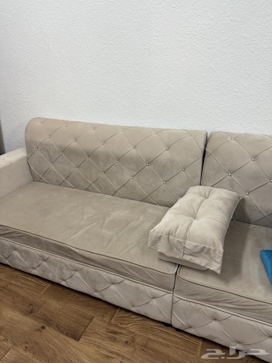 Clean and attractive sofa64465828998145110