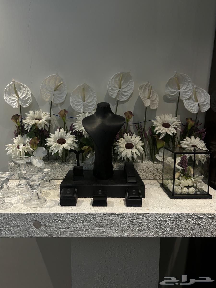 Queen's Network Stand64484362051329113