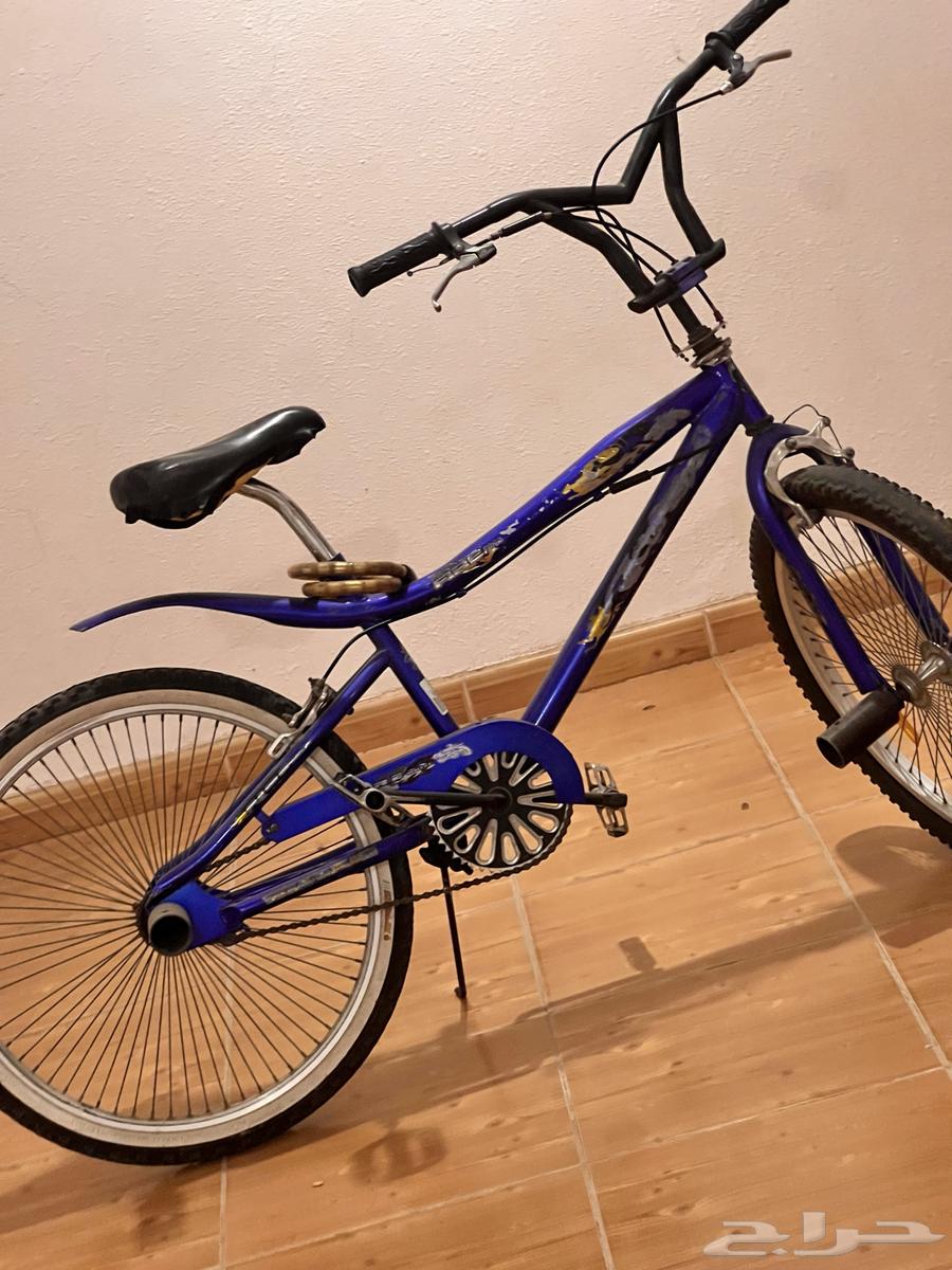 Hello, Cobra bike size 2464466849925633112