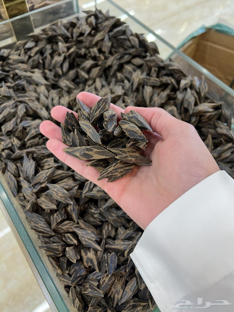 Tayger Oud 900 SAR (Discount Available for Bulk Orders)64466572508803112