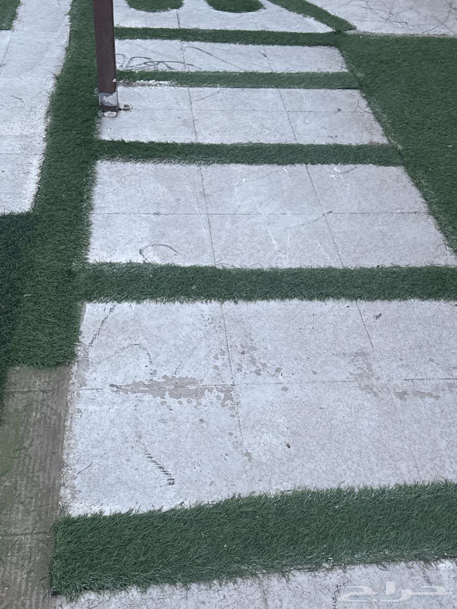 Shapes from England, I have a blessing from them and all the shapes64469348717187112