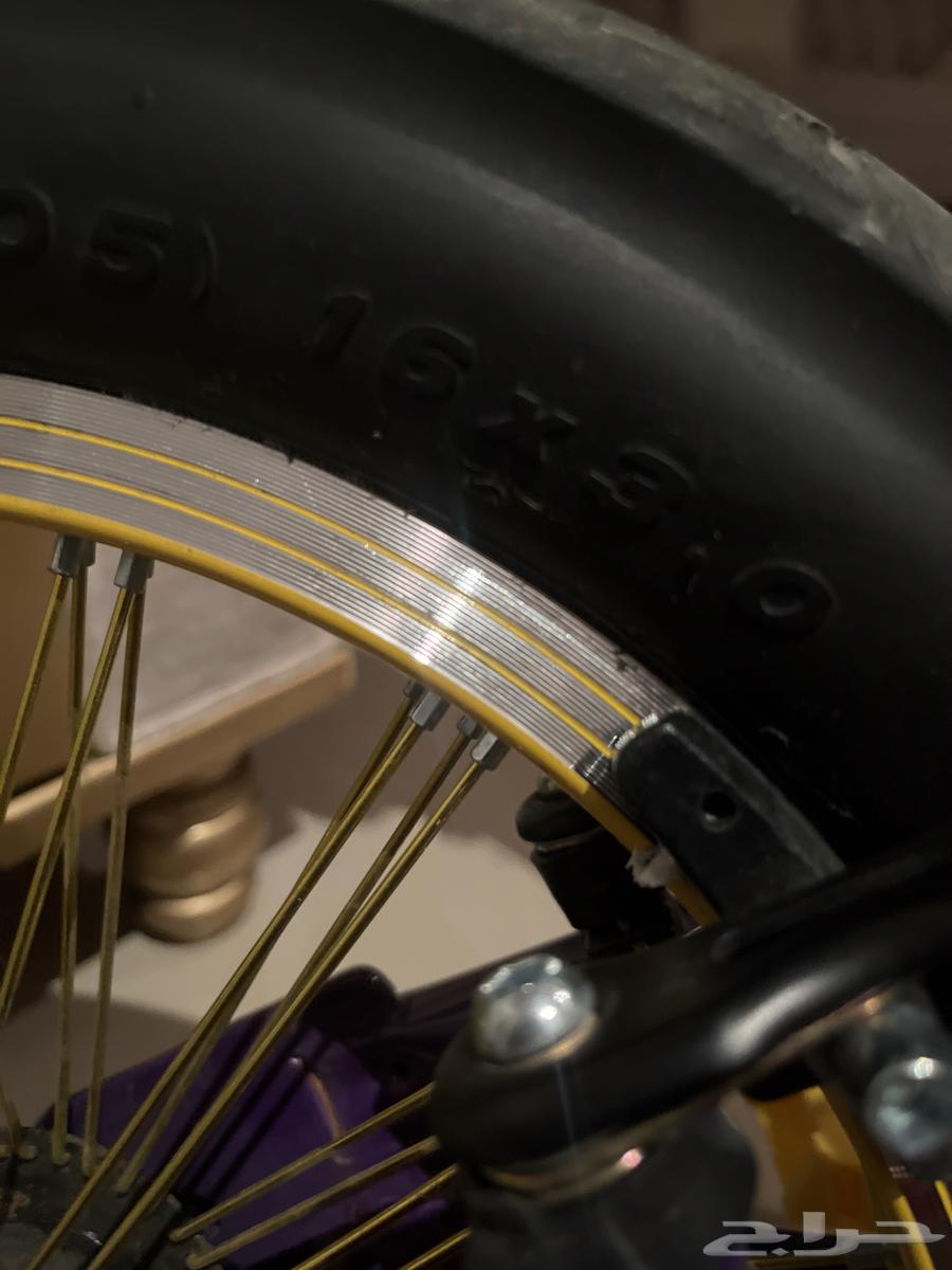 سيكل كوبرا مقاس 16 أتوقع لون بنفسجي سعر على السوم64470635267075113