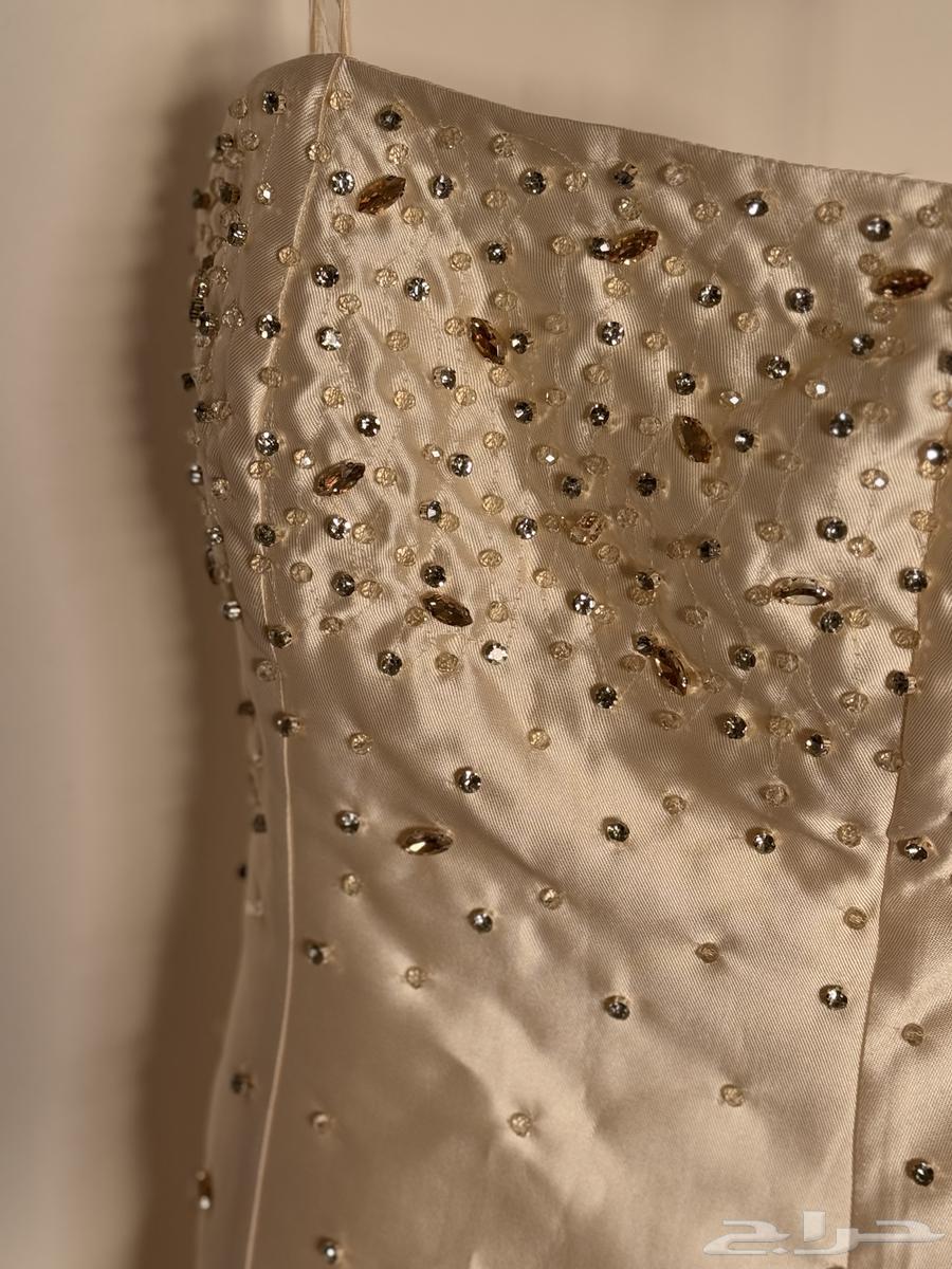 فستان من مارينا مول مالبسته ولا مره للبيع ب70064465226312066111