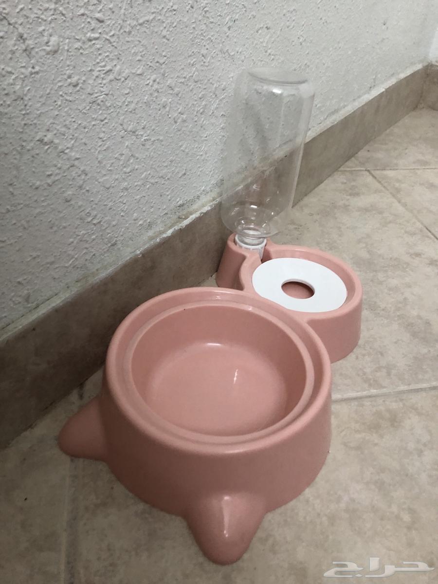 مستلزمات قطط للبيع64465493809153113