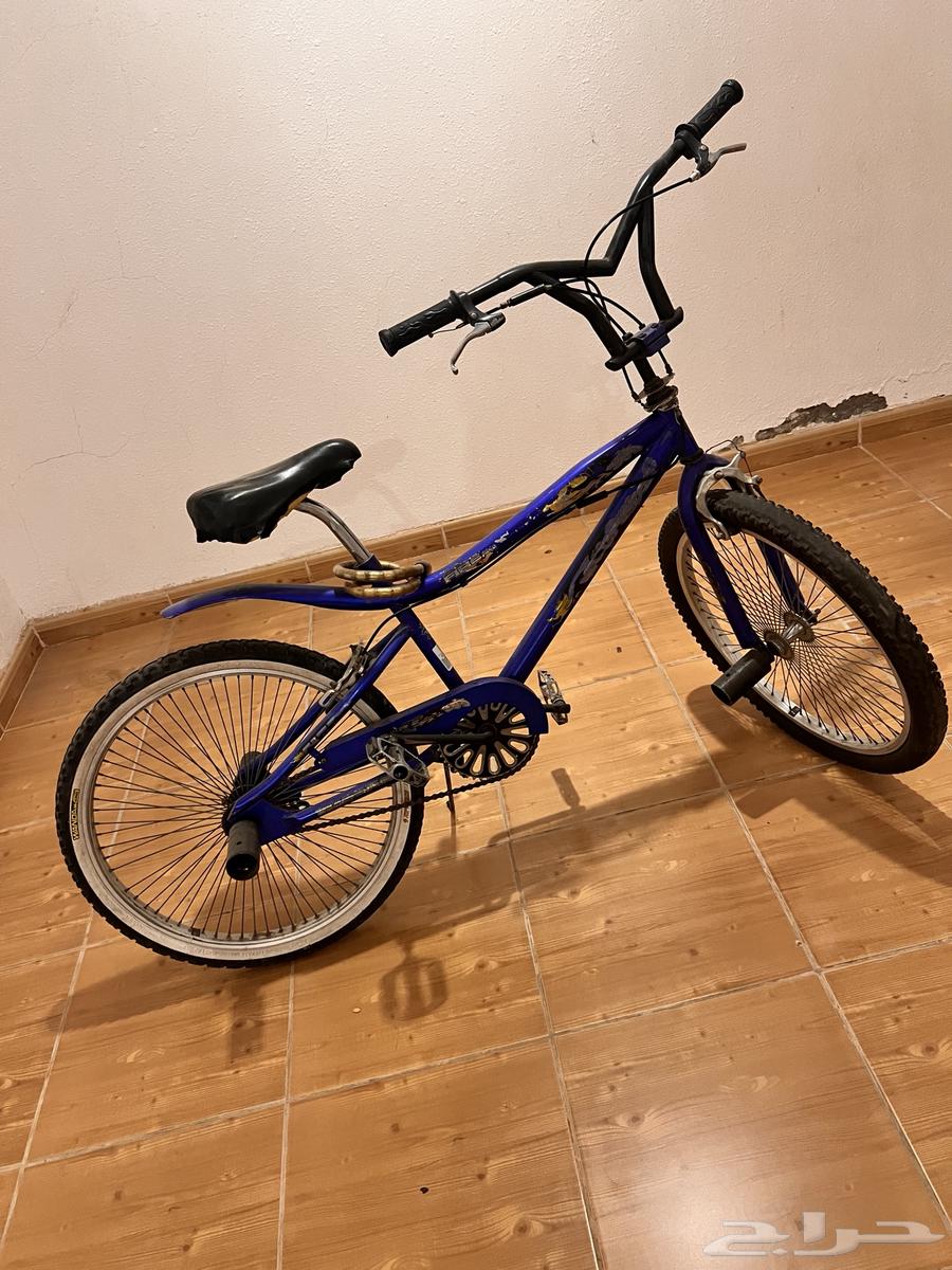 Hello, Cobra bike size 2464466849925633110