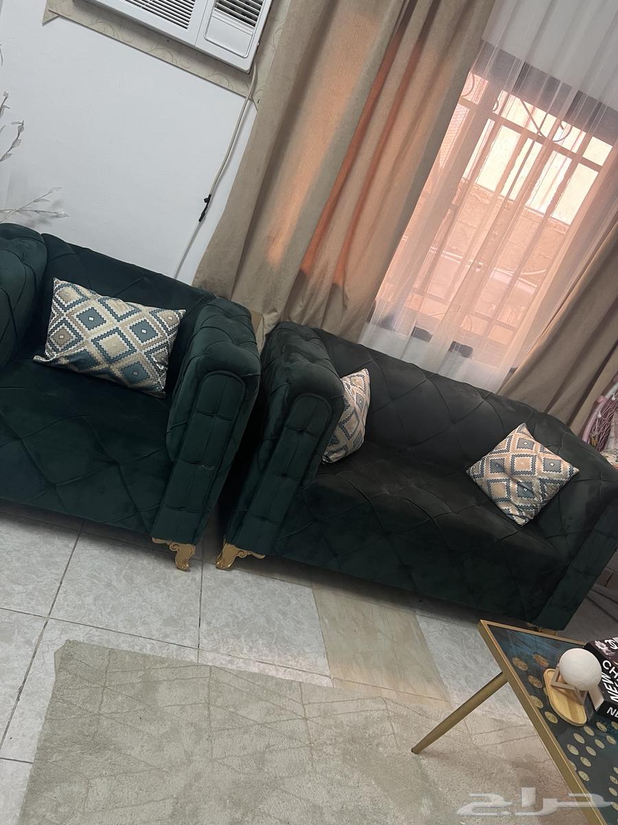 Olive-colored sofa and tables64468315570434113