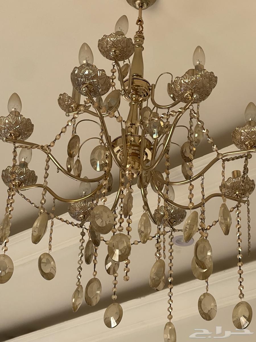 Thuria64468650423043110