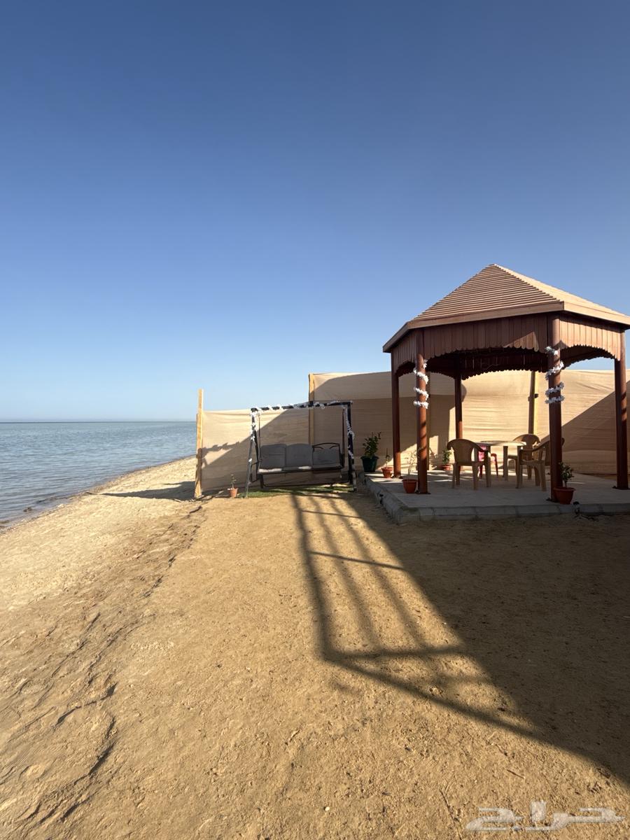 كرفان لؤلؤه ينبع عرض 200 ريال64466516468865114