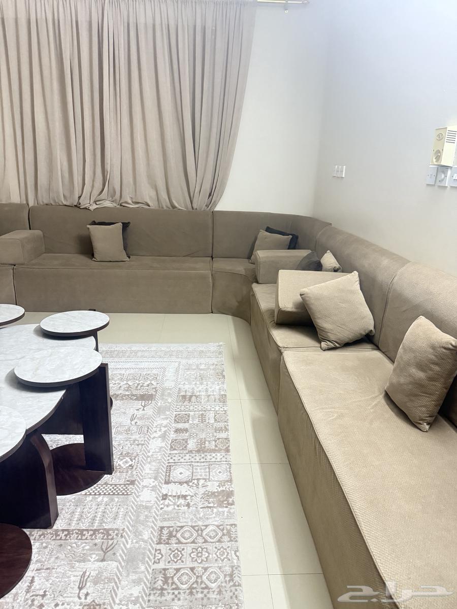 Sponge sofa64469907170563111