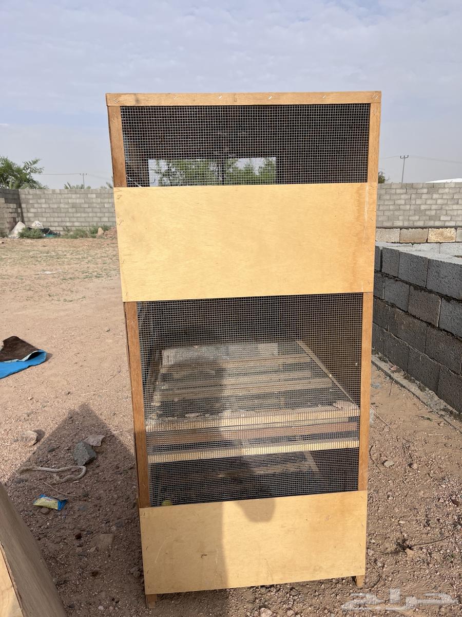 New chicken brooder available on condition64468134809857112