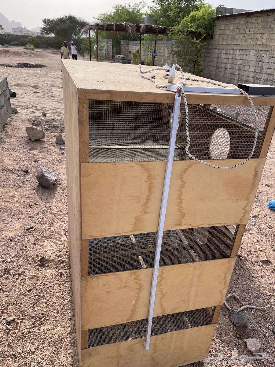 New chicken brooder available on condition64468134809857110