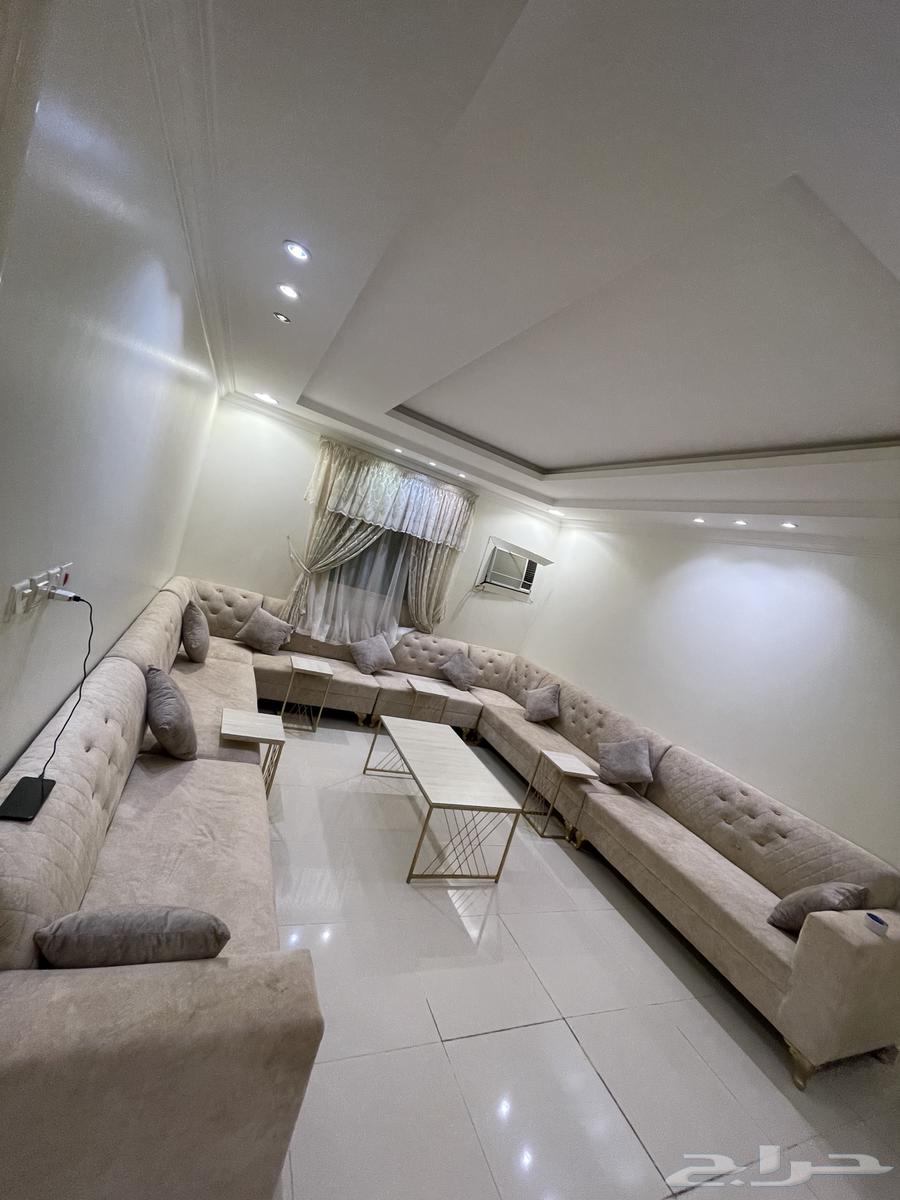 للبيع كنب وستارة نظيف جدا واستخدام حشمه64471006712579113