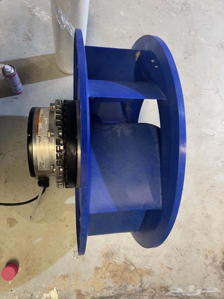 Zihel Apegg backward fan64464901652611110