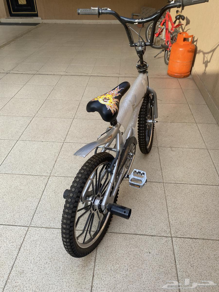 Cobra bicycle size 2064468738647682112