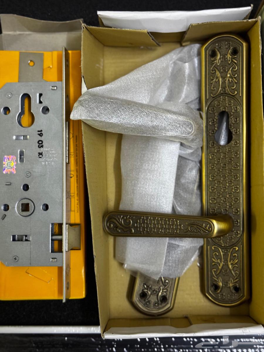 كوالين بيبان64464803620482112