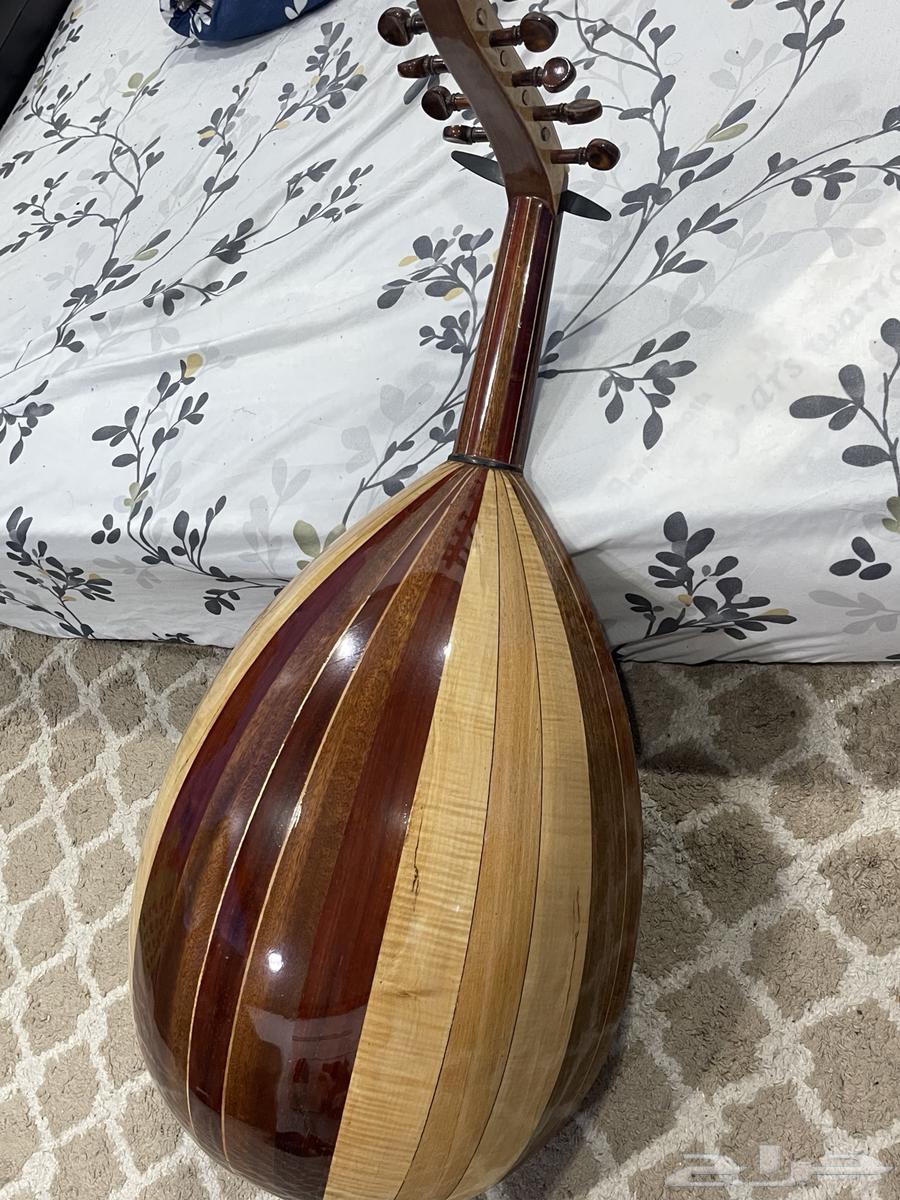 عود مصري صناعه ابوعمار64471102569474111