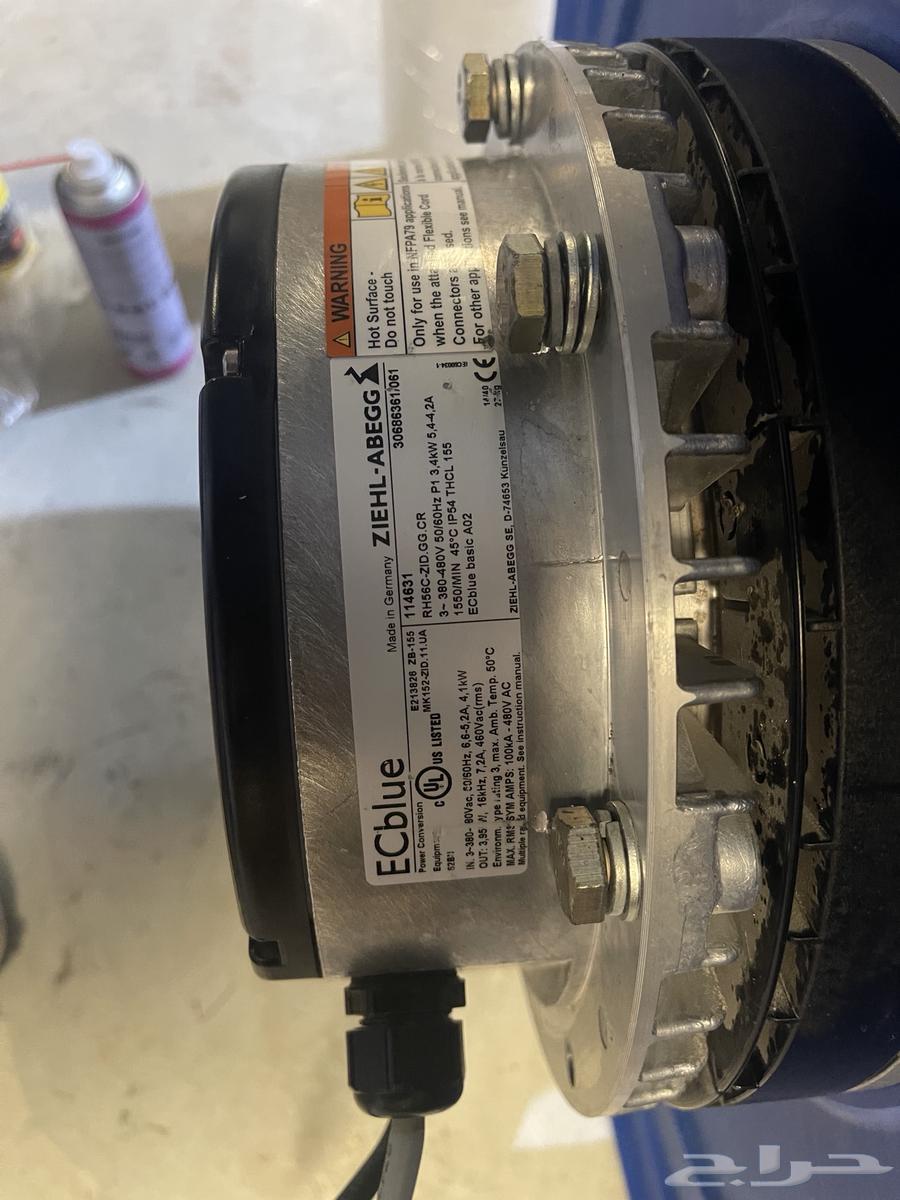 Zihel Apegg backward fan64464901652611112