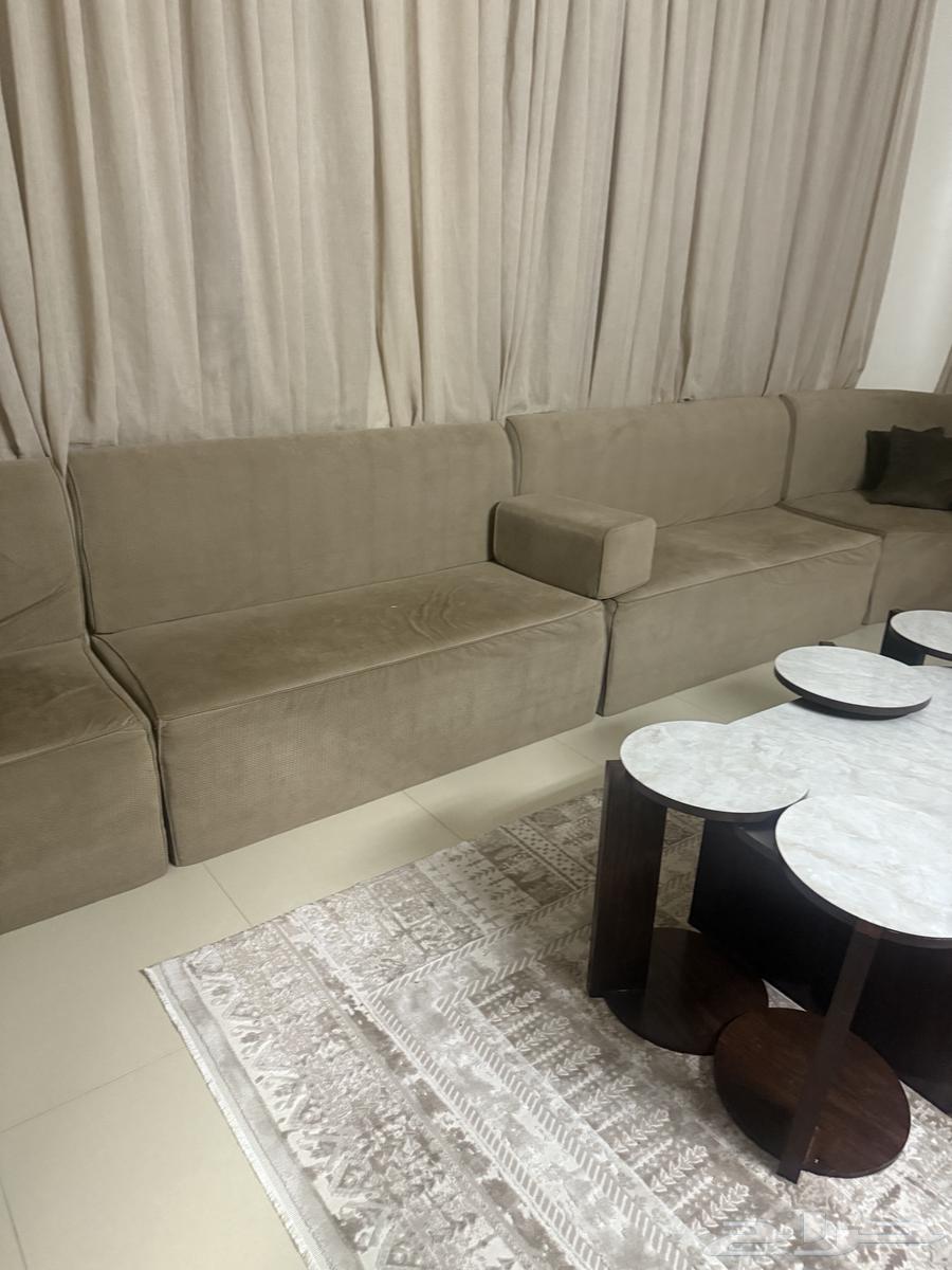 Sponge sofa64469907170563112