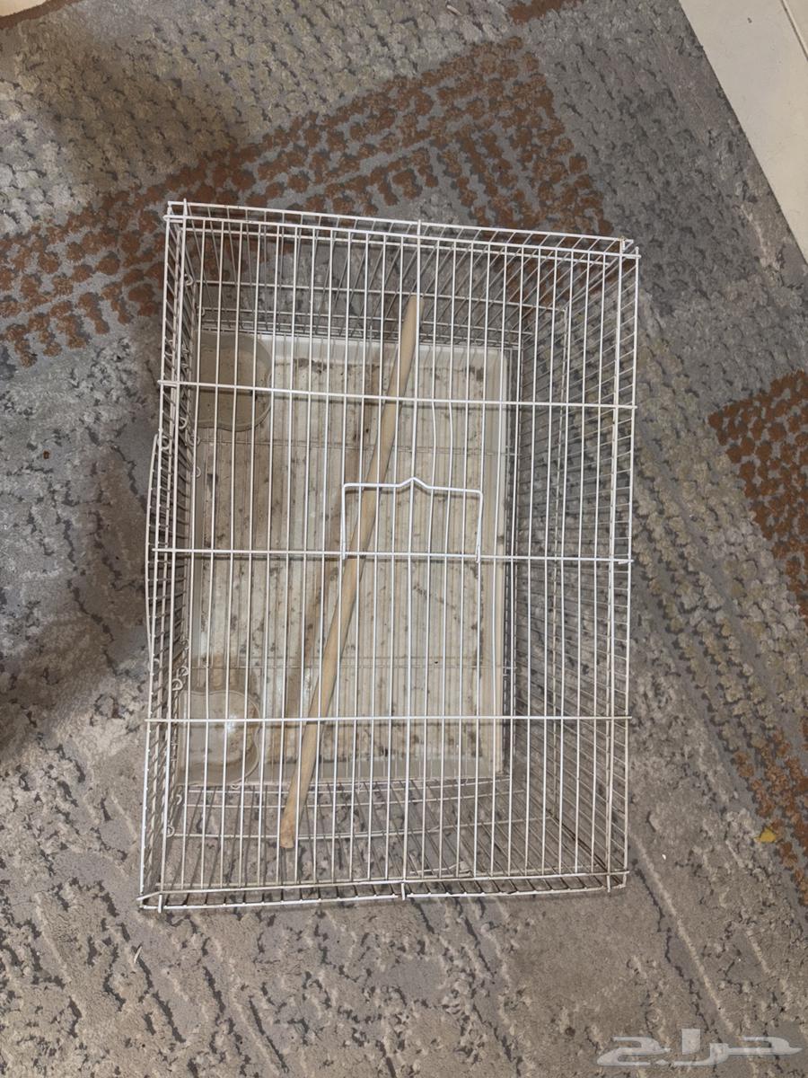 شبك طيور64469809116802110