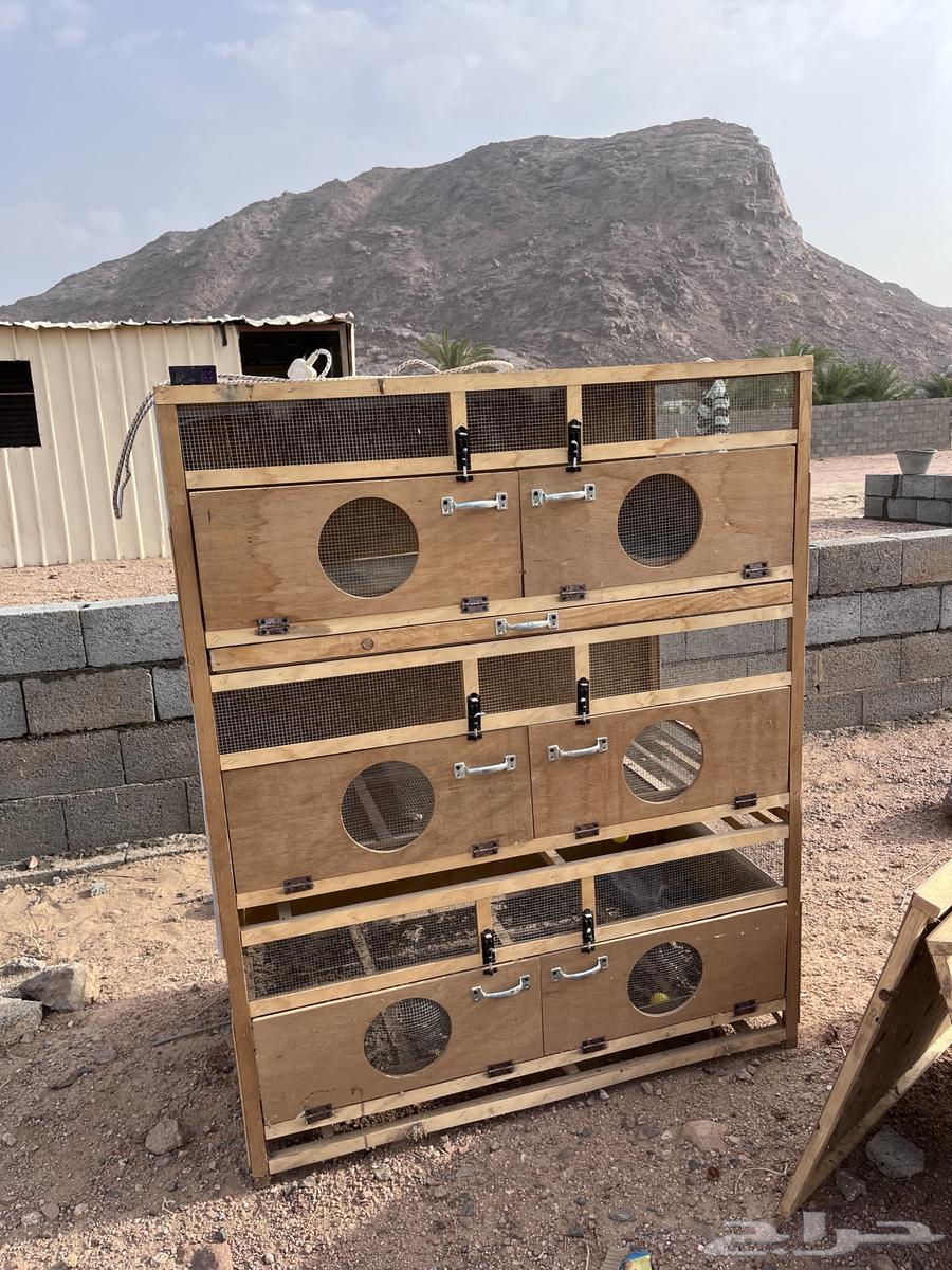 New chicken brooder available on condition64468134809857113