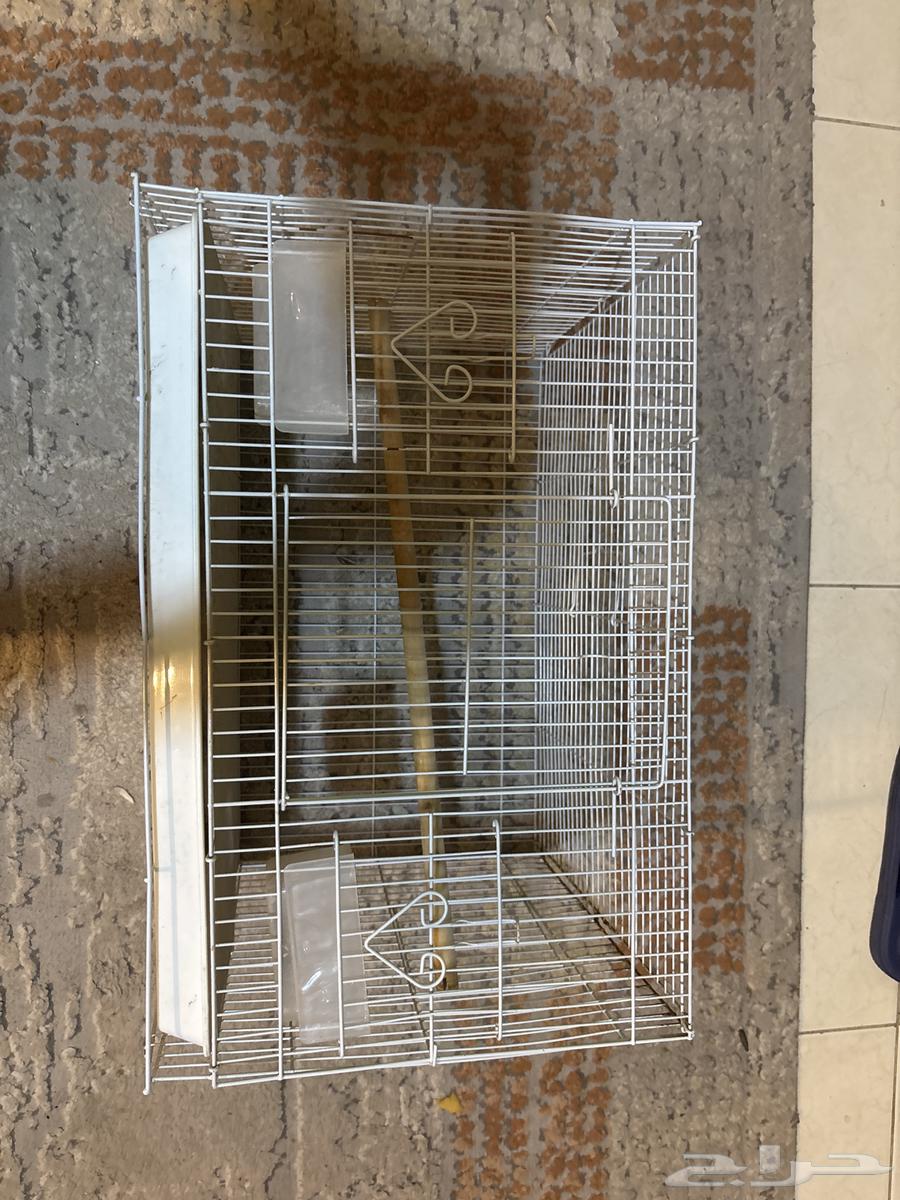 شبك طيور64469809116802111