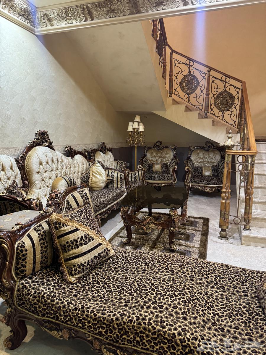 Sofa64470676584962110