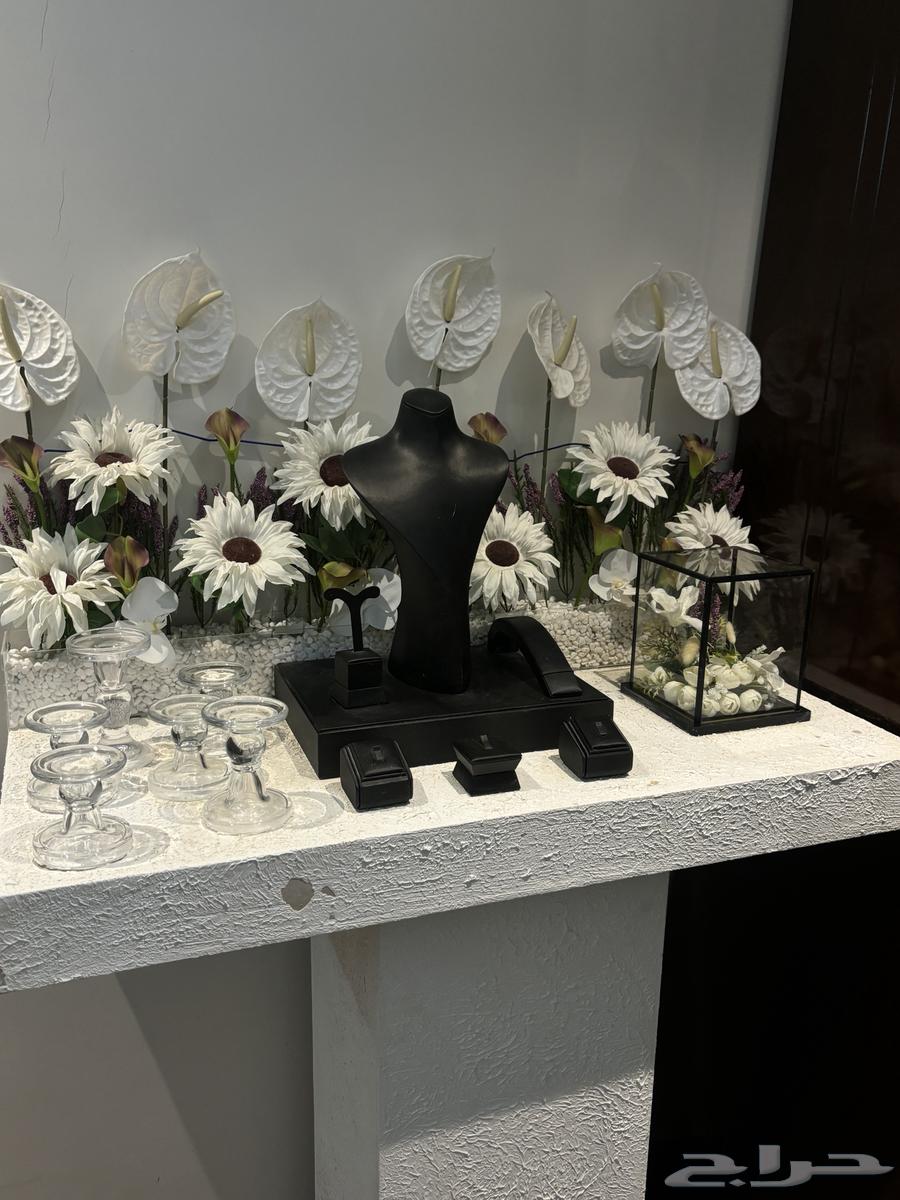 Queen's Network Stand64484362051329112