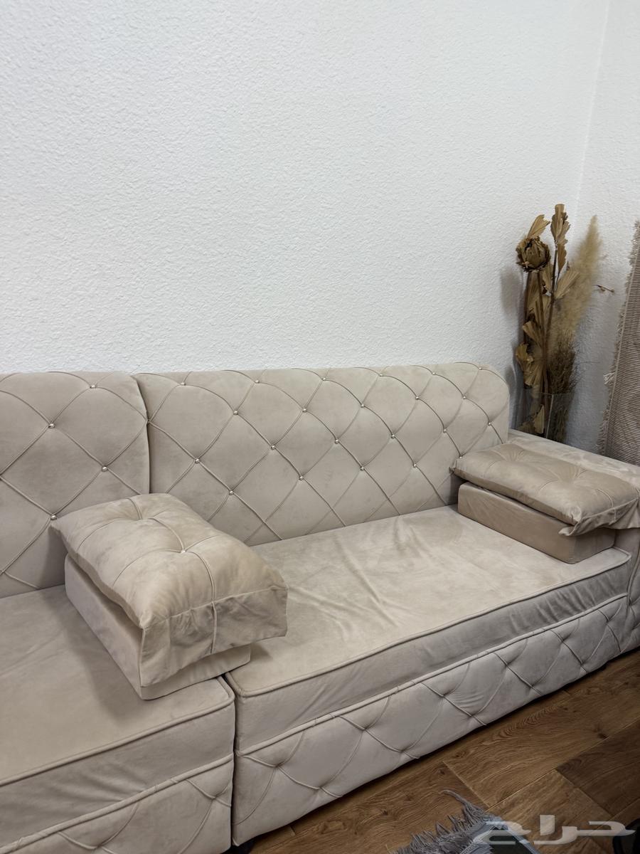 Clean and attractive sofa64465828998145111