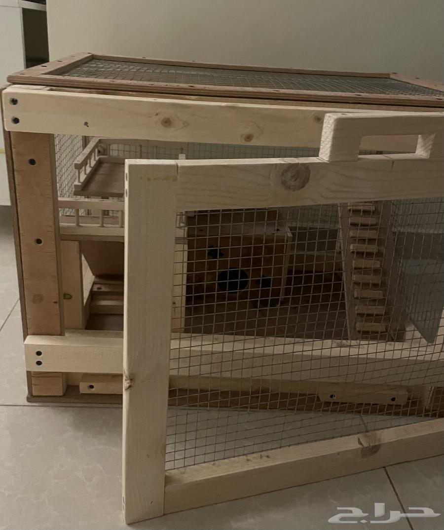 قفص بيت حيوانات اليفه - خشب اصلي شغل يدوي64469921015938114