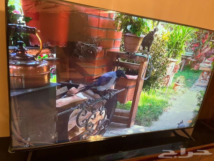 شاشة بلازما تلفزيون 65 بوصه64467256828803112
